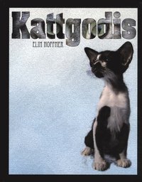 Kattgodis (inbunden)