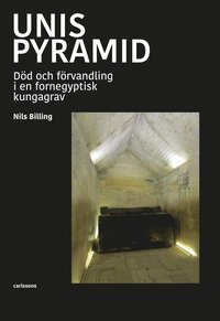 Unis pyramid : dd och frvandling i en fornegyptisk kungagrav