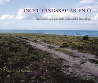Inget Landskap �r En � : Dialektik Och Praktik I �l�ndska Landskap (h�ftad)