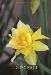 Narcisser : folkk�ra l�kar