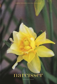 Narcisser : folkk�ra l�kar (h�ftad)