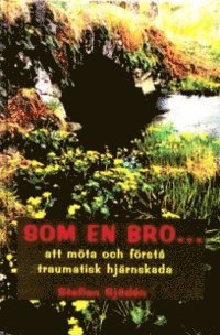 Som en bro : att m�ta och f�rst� traumatisk hj�rnskada (inbunden)
