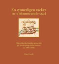 En synnerligen vacker och blomstrande stad : historisk-arkeologiska perspektiv p Norrkpings ldre historia (ca 1000-1800)