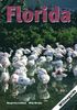 Florida Willmaguide