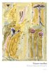 V�nner emellan