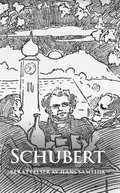 Schubert : berttelser av hans samtida
