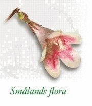 Sm�lands flora (h�ftad)