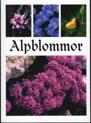 Alpblommor (inbunden)