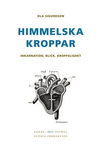 Himmelska kroppar : inkarnation, blick, kroppslighet (inbunden)
