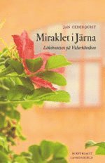Miraklet i J�rna : l�kekonsten p� Vidarkliniken (h�ftad)
