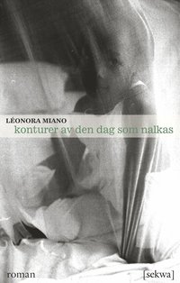Konturer av den dag som nalkas (h�ftad)