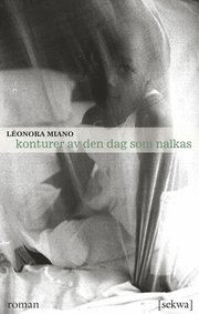 Konturer av den dag som nalkas (h�ftad)