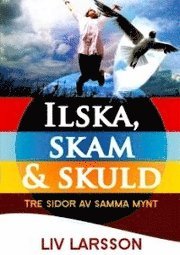 Ilska, skuld & skam : tre sidor av samma mynt (kartonnage)
