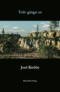 Tolv gingo ut (inbunden)