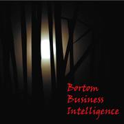 Bortom business intelligence (h�ftad)