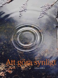 Att g�ra synligt (inbunden)