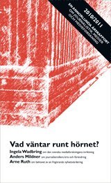 Vad v�ntar runt h�rnet? En annorlunda �rsrapport 2010/2011 om journalistik, medier och medieforskning (h�ftad)