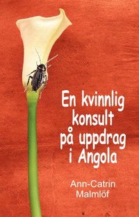 En kvinlig konsult på uppdrag i Angola