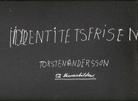 Identitetsfrisen : 52 minnesbilder (inbunden)