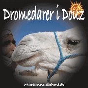 Dromedarer i Douz (h�ftad)
