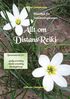 Allt om distans Reiki - Handbok fr fortsttningskursen