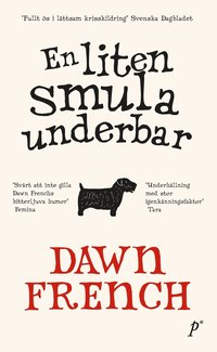 En liten smula underbar (pocket)