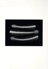 Sayan Isaksson - Diversions (h�ftad)