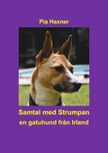Samtal med Strumpan : en gatuhund frn Irland