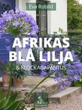 Afrikas bl lilja och klockagapanthus