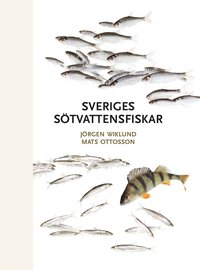 Sveriges stvattensfiskar