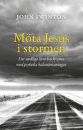 Mta Jesus i stormen : om livet som kristen med psykiska hlsoutmaningar