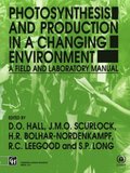 Photosynthesis and Production in a Changing Environment