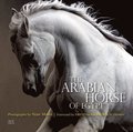 The Arabian Horse of Egypt