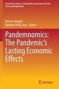 Pandemnomics: The Pandemic's Lasting Economic Effects
