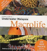 A Divers Guide to Underwater Malaysia Macrolife (inbunden)
