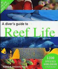 A Diver's Guide to Reef Life (inbunden)