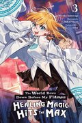 The World Bows Down Before My Flames, Vol. 3 (novel)