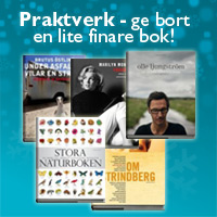 Praktverk