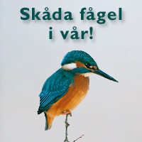 Sk�da f�gel i v�r