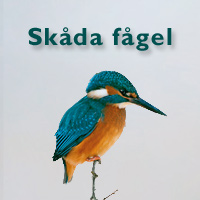 Sk�da f�gel i v�r