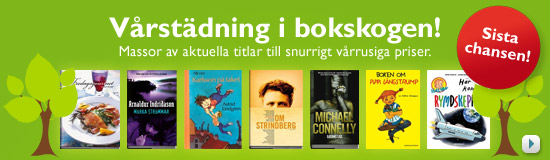 Vårrensning i Bokskogen