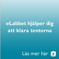 Lyckas med studierna med hj�lp av eLabbet