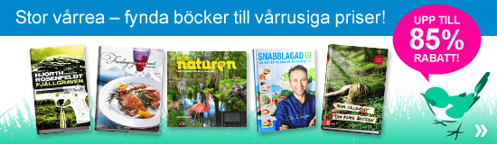 Stor v�rrea