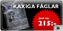 Ny fotobok av Brutus �stling!