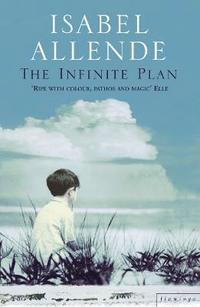 The Infinite Plan (hftad)