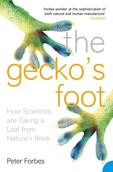 Gecko's Foot (inbunden)