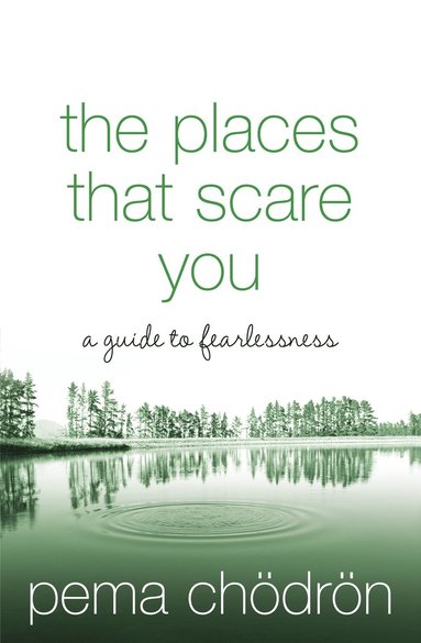 Places That Scare You (häftad)
