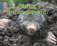 What's Underground (hftad)