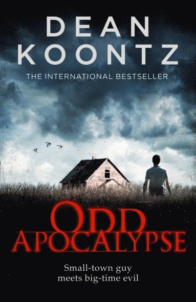 Odd Apocalypse (e-bok)