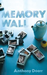 Memory Wall (e-bok)